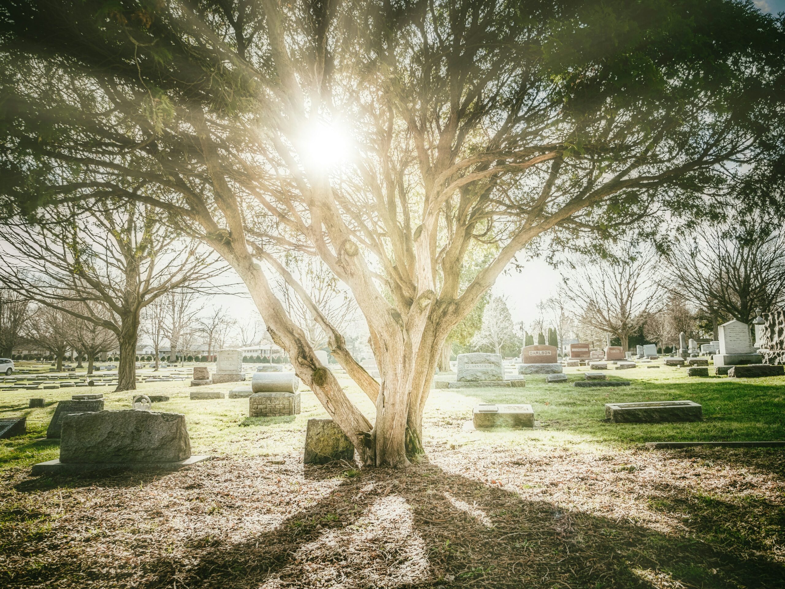 Good Ol’ Death: The Lenten Season & the Cyclical Nature of Creation