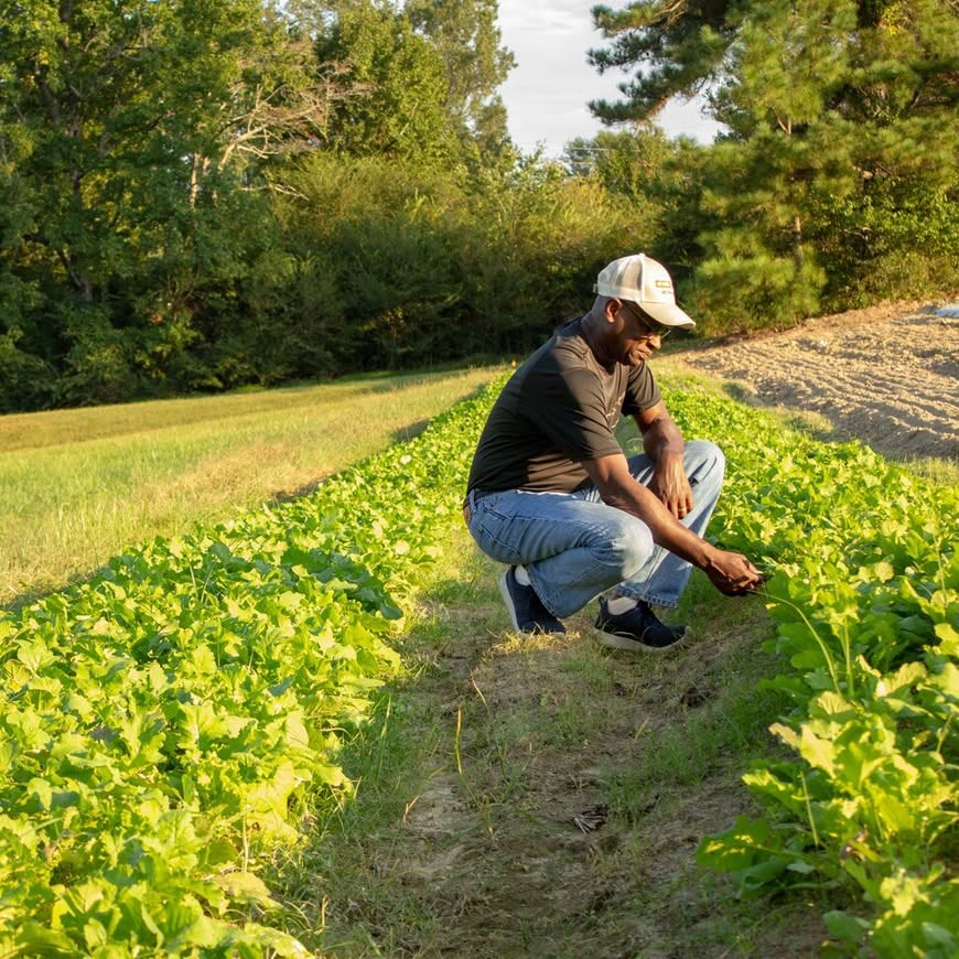 The Wake County CSA Connects Faith Communities and Black Farmers